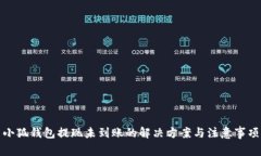 小狐钱包提现未到账的解决方案与注意事项