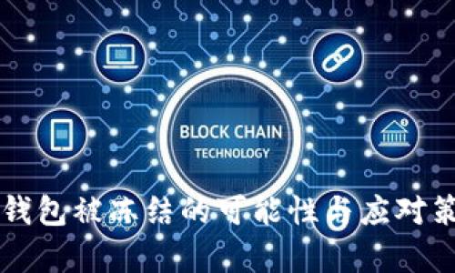 比特币钱包被冻结的可能性与应对策略分析