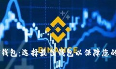 和关键词全面解析USDT钱包：选择最佳钱包以保障