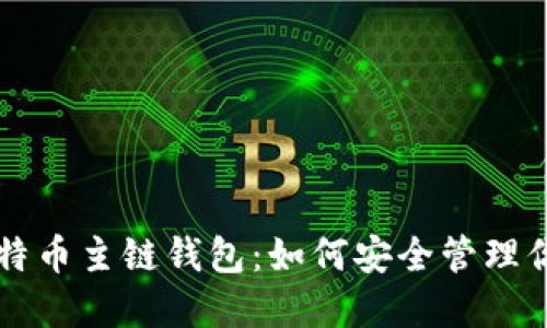 深度解读比特币主链钱包：如何安全管理你的数字资产