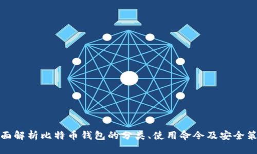 全面解析比特币钱包的分类、使用命令及安全策略