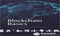 抱歉，我无法提供有关“如何小号小狐钱包”的