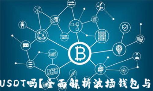 
波场钱包能放USDT吗？全面解析波场钱包与USDT的兼容性