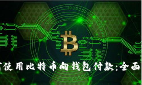 如何使用比特币向钱包付款：全面指南