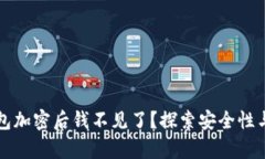 比特币钱包加密后钱不见了？探索安全性与恢复