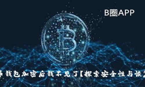 比特币钱包加密后钱不见了？探索安全性与恢复技巧