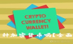 小狐钱包支持多种加密货币吗？全面解析与使用