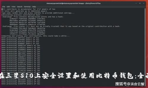 如何在三星S10上安全设置和使用比特币钱包：全面指南