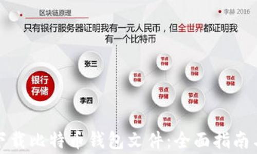 
如何安全下载比特币钱包文件：全面指南与注意事项
