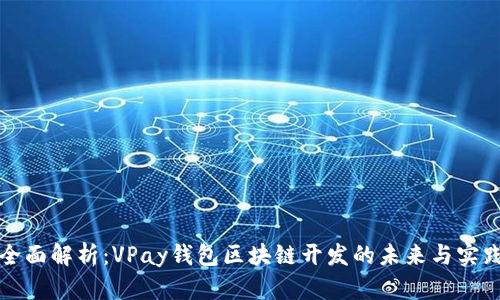 全面解析：VPay钱包区块链开发的未来与实践