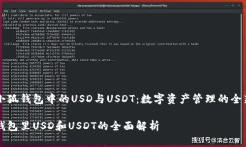 探索小狐钱包中的USD与USDT：数字资产管理的全新视角

小狐钱包里USD和USDT的全面解析
