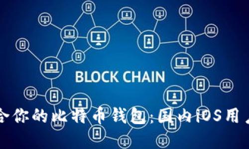 如何选择适合你的比特币钱包：国内iOS用户的全面指南