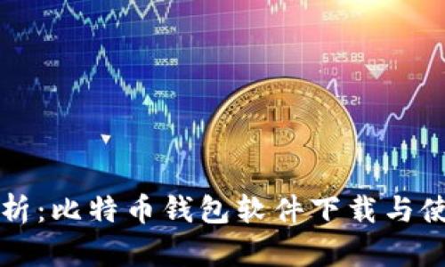 全面解析：比特币钱包软件下载与使用指南