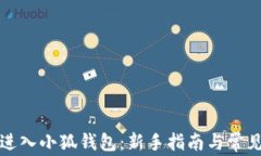 如何顺利进入小狐钱包：新手指南与常见问题解